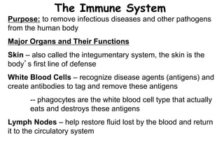 The Immune System
Purpose: to remove infectious diseases and other pathogens
from the human body
Major Organs and Their Functions
Skin – also called the integumentary system, the skin is the
body’s first line of defense
White Blood Cells – recognize disease agents (antigens) and
create antibodies to tag and remove these antigens
-- phagocytes are the white blood cell type that actually
eats and destroys these antigens
Lymph Nodes – help restore fluid lost by the blood and return
it to the circulatory system
 