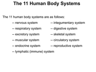 The 11 Human Body Systems
The 11 human body systems are as follows:
-- nervous system -- integumentary system
-- respiratory system -- digestive system
-- excretory system -- skeletal system
-- muscular system -- circulatory system
-- endocrine system -- reproductive system
-- lymphatic (immune) system
 
