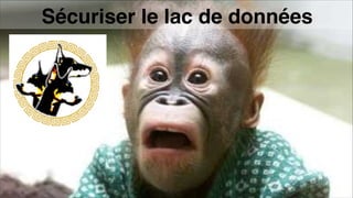 Sécuriser le lac de données
 