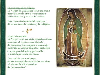1-Las manos de la Virgen:  La Virgen de Guadalupe tiene una mano  mas clara que la otra y se encuentran entrelazadas en posición de oración.  Esto como simbolismo del mestizaje  de las dos razas la española y la indígena.  2-La cinta morada: La Virgen tiene una cinta morado obscuro amarrada al vientre como símbolo  de embarazo. En esa época si una mujer mostraba su vientre durante el embarazo  era una gran falta de respeto a ella  y al bebé que estaba por nacer. Para indicar que una mujer  estaba embarazada se amarraba una cinta al vientre de allí el termino  de “estar encinta”.  