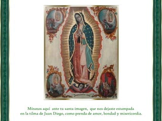 Míranos aquí  ante tu santa imagen,  que nos dejaste estampada en la tilma de Juan Diego, como prenda de amor, bondad y misericordia. 