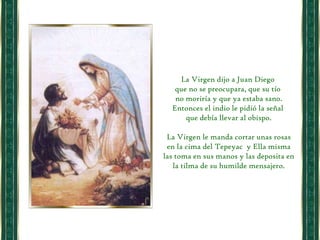 La Virgen dijo a Juan Diego  que no se preocupara, que su tío  no moriría y que ya estaba sano. Entonces el indio le pidió la señal  que debía llevar al obispo. La Virgen le manda cortar unas rosas en la cima del Tepeyac  y Ella misma las toma en sus manos y las deposita en la tilma de su humilde mensajero. 