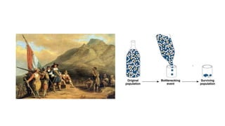 Evolution- Natural selection and Genetic Drift and modes of natural ...
