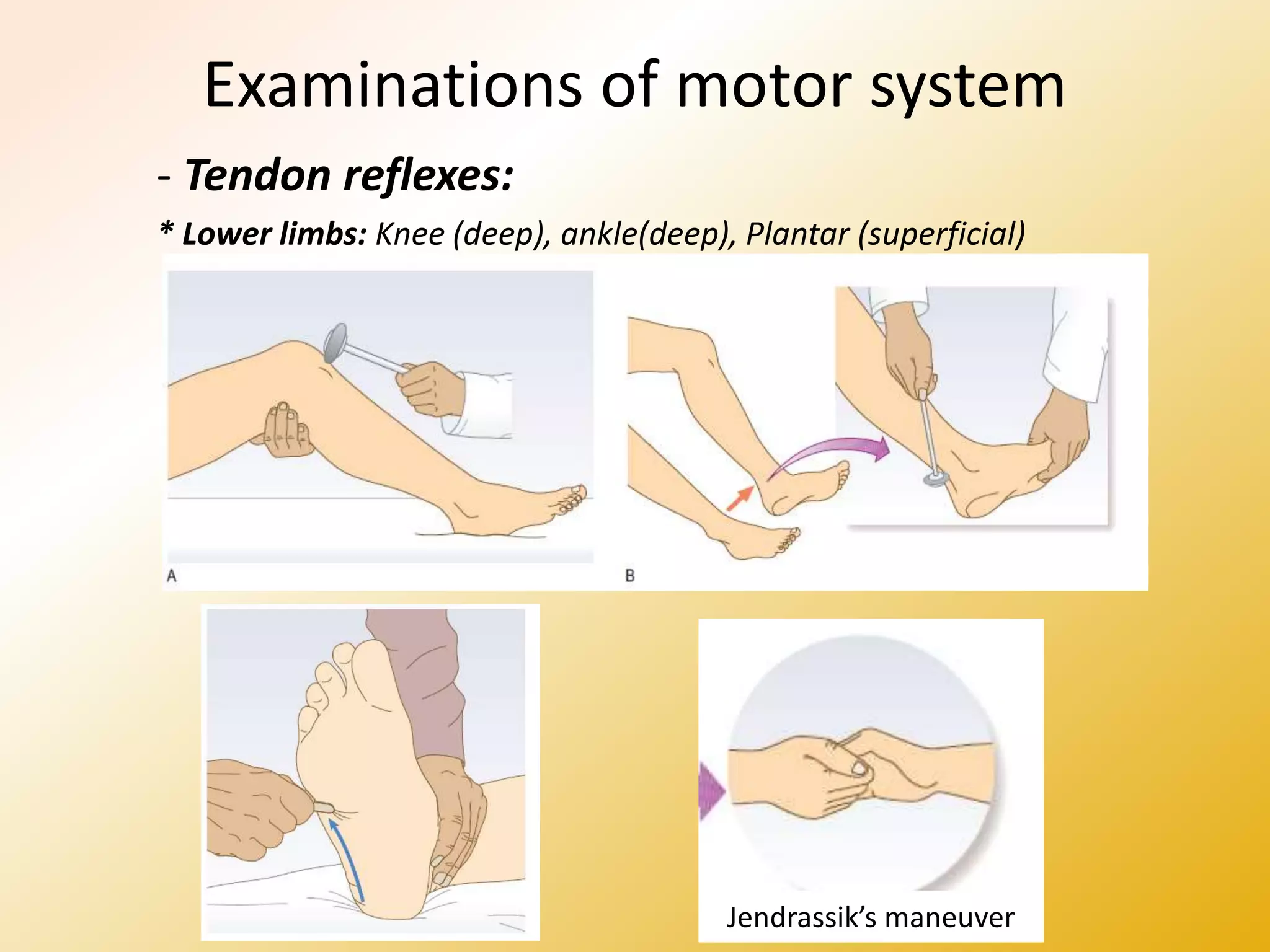 Examinations of motor system
- Tendon reflexes:
* Lower limbs: Knee (deep), ankle(deep), Plantar (superficial)
Jendrassik’s maneuver
 