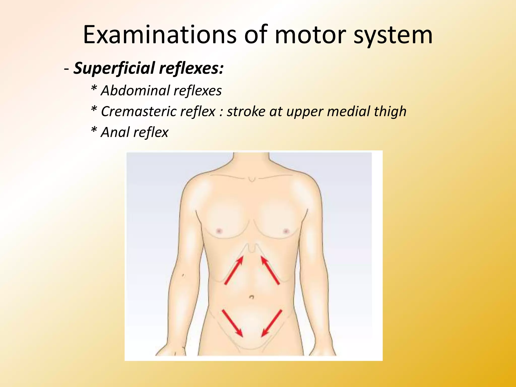 Examinations of motor system
- Superficial reflexes:
* Abdominal reflexes
* Cremasteric reflex : stroke at upper medial thigh
* Anal reflex
 