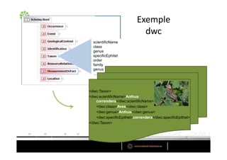 scientificName
  class
  genus
  specificEphitet
  order
  family
  genus
  …



dwc:Taxon
dwc:scientificNameAnthus
    correndera/dwc:scientificName
    dwc:classAves/dwc:class
    dwc:genusAnthus/dwc:genus
    dwc:specificEpithetcorrendera/dwc:specificEpithet
/dwc:Taxon
 