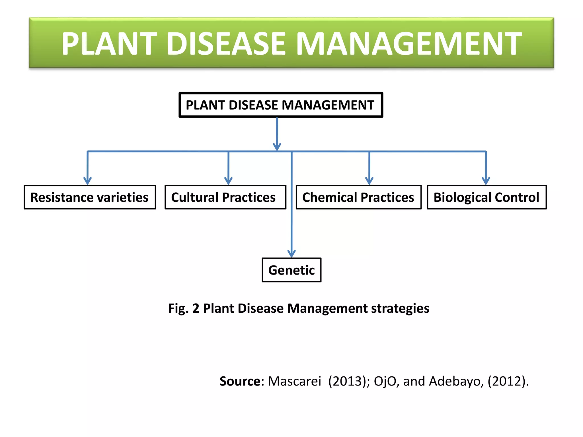 PLANT DISEASE MANAGEMENT
Resistance varieties
PLANT DISEASE MANAGEMENT
Cultural Practices Chemical Practices Biological Control
Genetic
Fig. 2 Plant Disease Management strategies
Source: Mascarei (2013); OjO, and Adebayo, (2012).
 