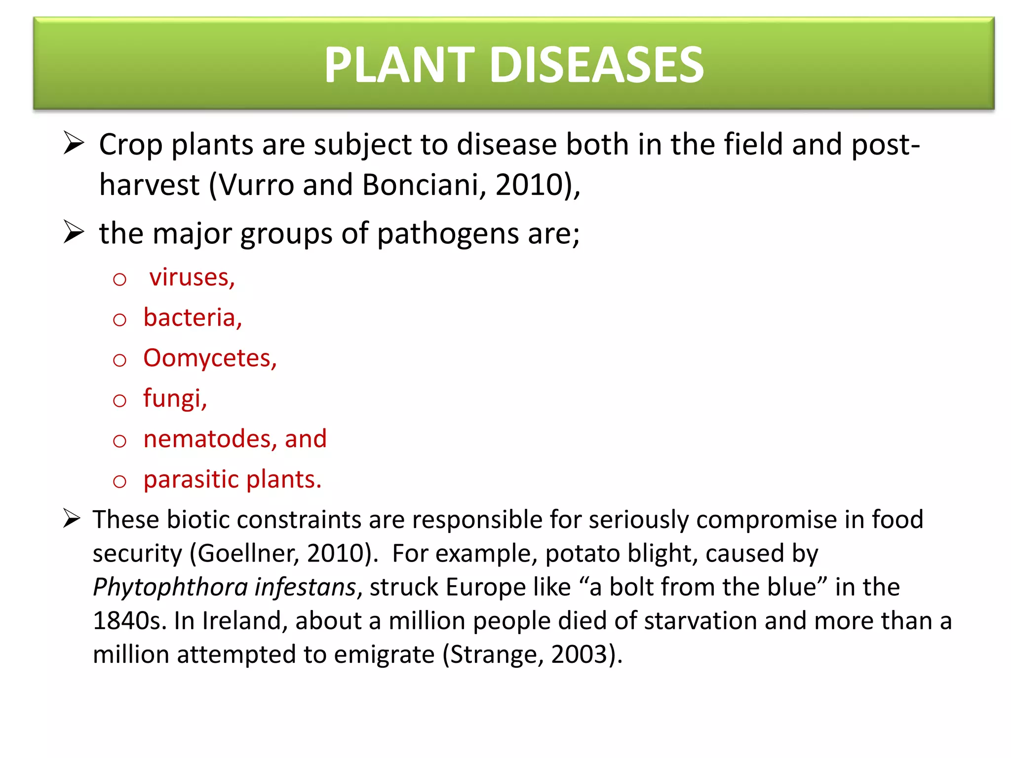 PLANT DISEASES
 Crop plants are subject to disease both in the field and post-
harvest (Vurro and Bonciani, 2010),
 the major groups of pathogens are;
o viruses,
o bacteria,
o Oomycetes,
o fungi,
o nematodes, and
o parasitic plants.
 These biotic constraints are responsible for seriously compromise in food
security (Goellner, 2010). For example, potato blight, caused by
Phytophthora infestans, struck Europe like “a bolt from the blue” in the
1840s. In Ireland, about a million people died of starvation and more than a
million attempted to emigrate (Strange, 2003).
 