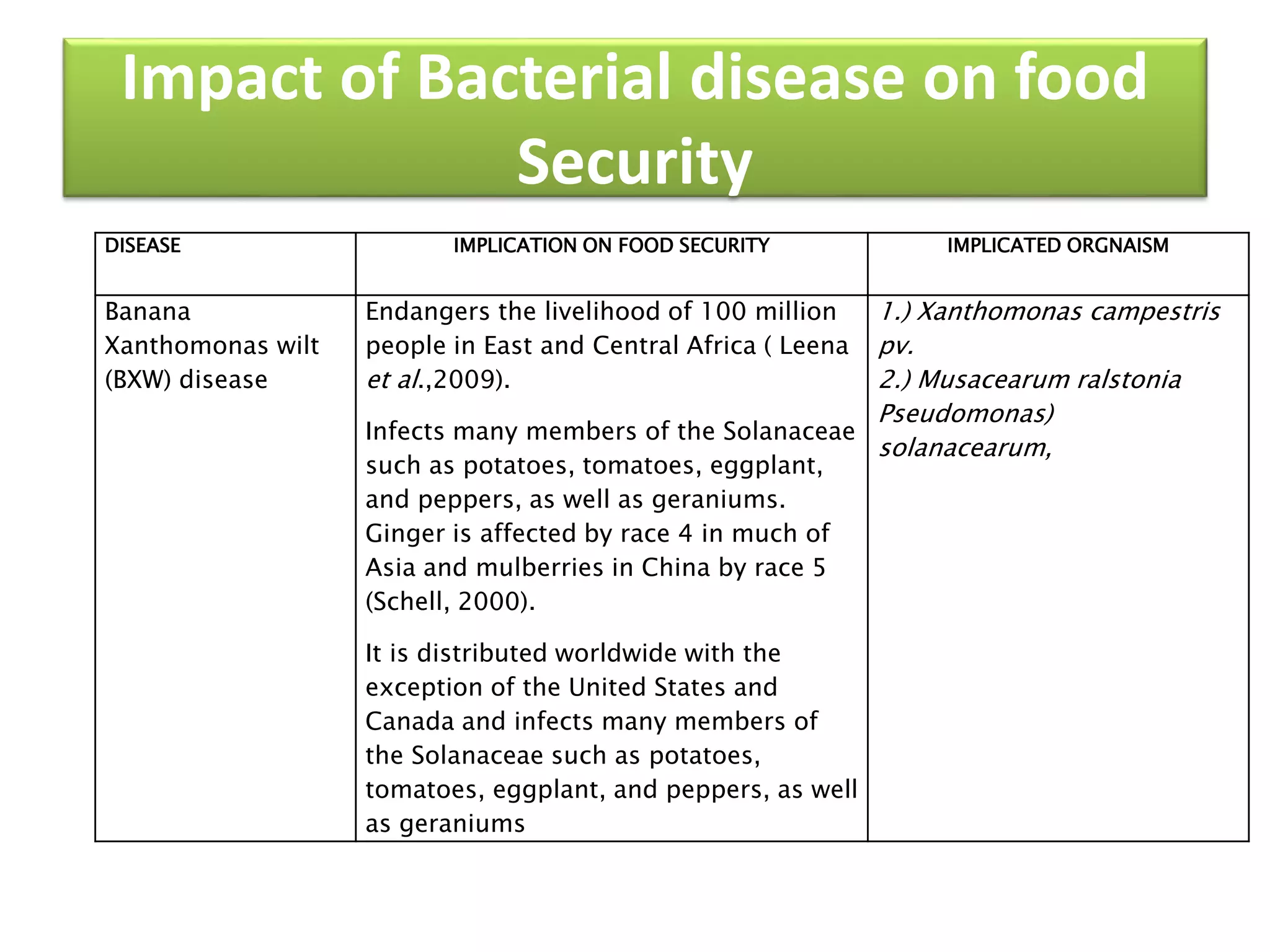 Impact of Bacterial disease on food
Security
DISEASE IMPLICATION ON FOOD SECURITY IMPLICATED ORGNAISM
Banana
Xanthomonas wilt
(BXW) disease
Endangers the livelihood of 100 million
people in East and Central Africa ( Leena
et al.,2009).
Infects many members of the Solanaceae
such as potatoes, tomatoes, eggplant,
and peppers, as well as geraniums.
Ginger is affected by race 4 in much of
Asia and mulberries in China by race 5
(Schell, 2000).
It is distributed worldwide with the
exception of the United States and
Canada and infects many members of
the Solanaceae such as potatoes,
tomatoes, eggplant, and peppers, as well
as geraniums
1.) Xanthomonas campestris
pv.
2.) Musacearum ralstonia
Pseudomonas)
solanacearum,
 