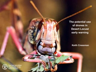 The potential use
of drones in
Desert Locust
early warning
Keith Cressman
 