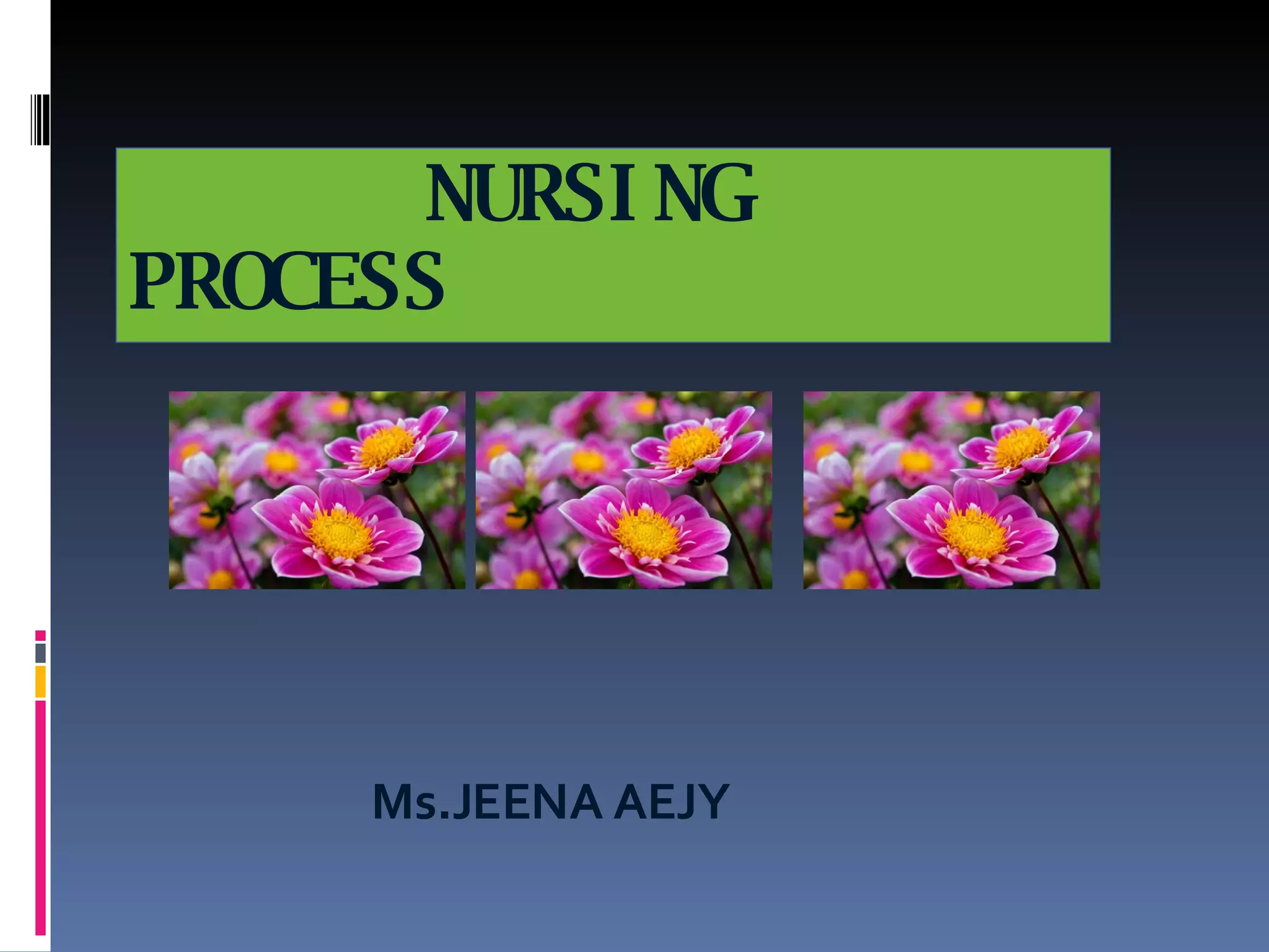 NURSING PROCESS | PPT