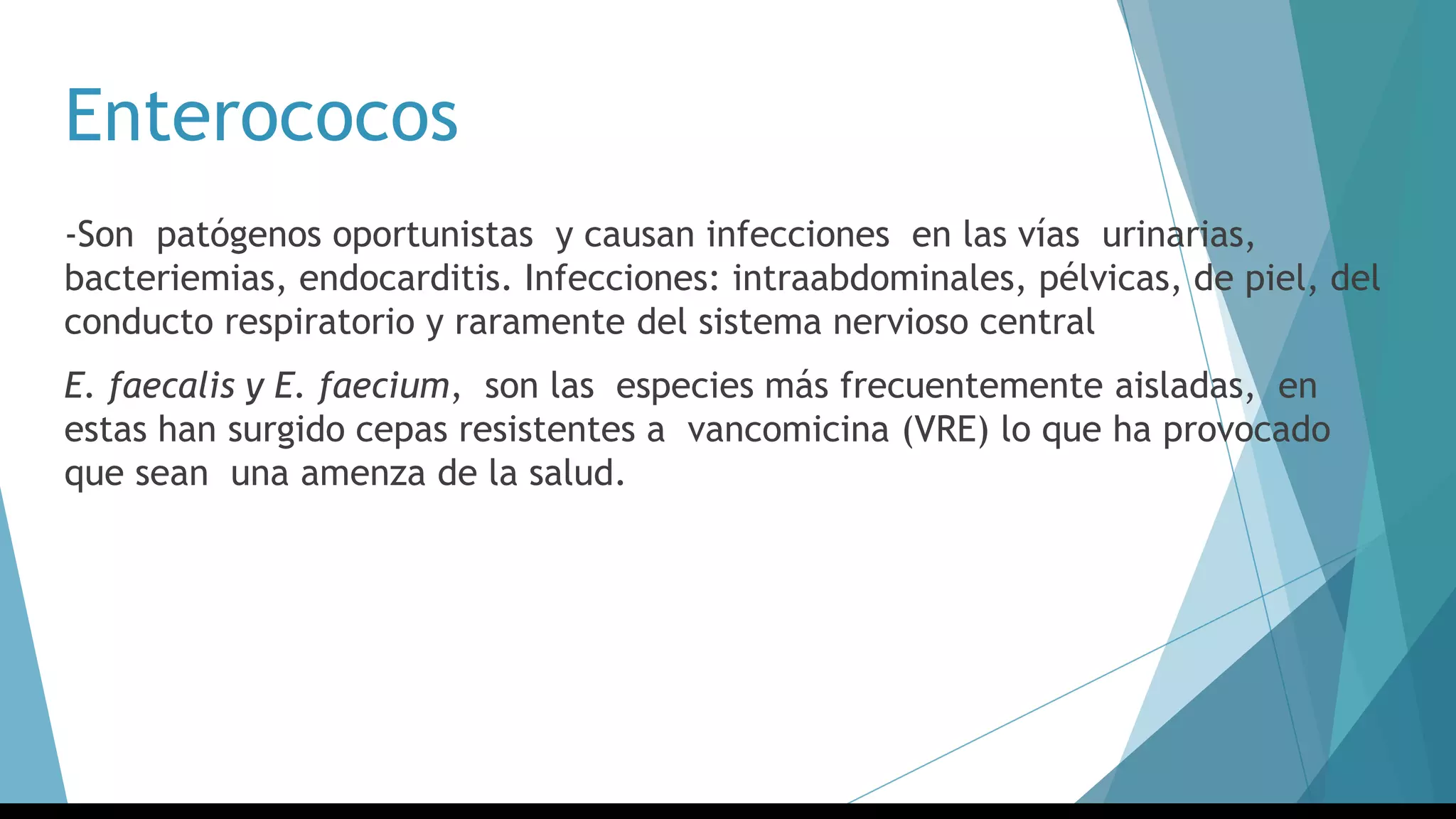 Enterococos
-Son patógenos oportunistas y causan infecciones en las vías urinarias,
bacteriemias, endocarditis. Infecciones: intraabdominales, pélvicas, de piel, del
conducto respiratorio y raramente del sistema nervioso central
E. faecalis y E. faecium, son las especies más frecuentemente aisladas, en
estas han surgido cepas resistentes a vancomicina (VRE) lo que ha provocado
que sean una amenza de la salud.
 