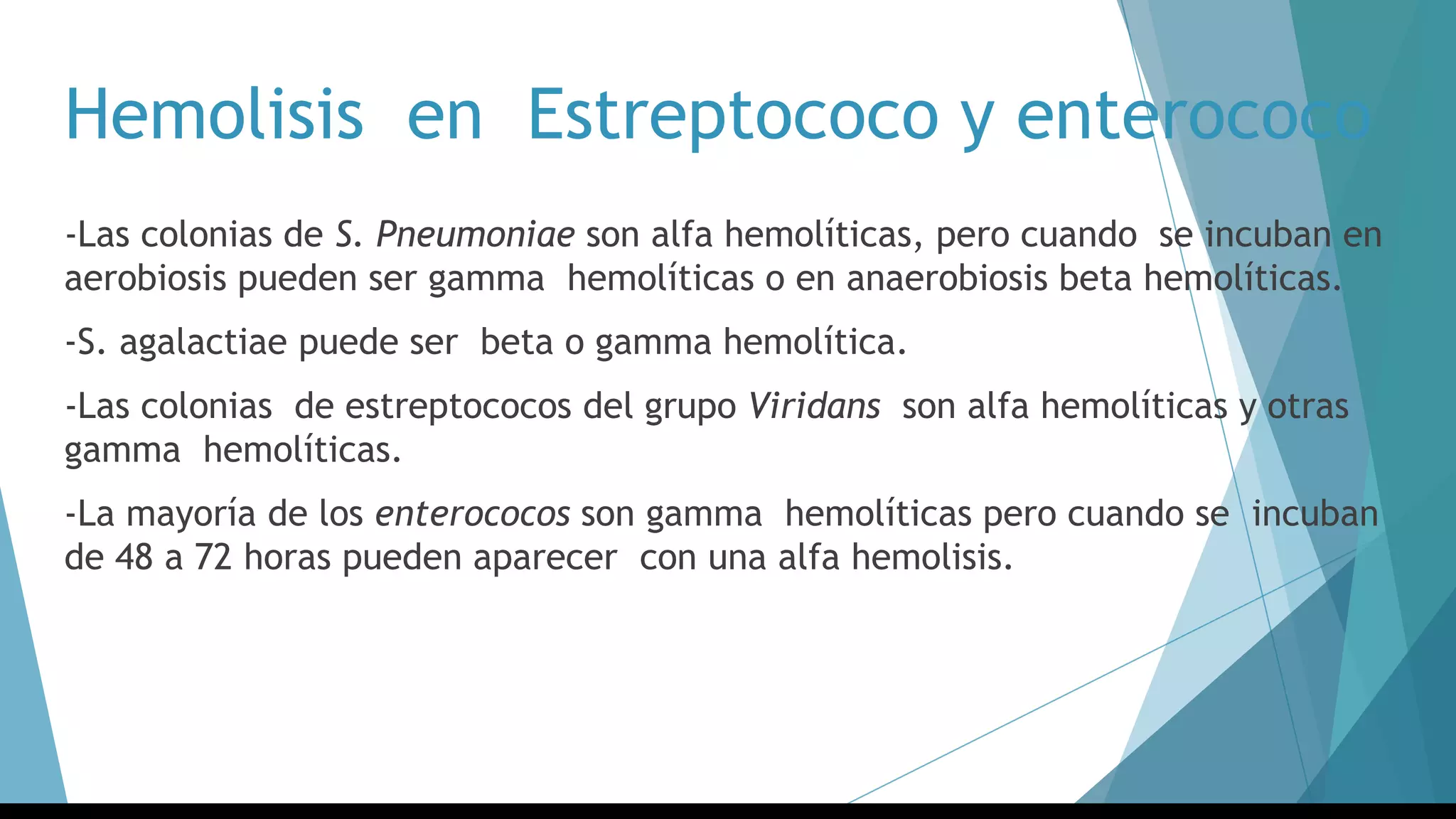 Hemolisis en Estreptococo y enterococo
-Las colonias de S. Pneumoniae son alfa hemolíticas, pero cuando se incuban en
aerobiosis pueden ser gamma hemolíticas o en anaerobiosis beta hemolíticas.
-S. agalactiae puede ser beta o gamma hemolítica.
-Las colonias de estreptococos del grupo Viridans son alfa hemolíticas y otras
gamma hemolíticas.
-La mayoría de los enterococos son gamma hemolíticas pero cuando se incuban
de 48 a 72 horas pueden aparecer con una alfa hemolisis.
 