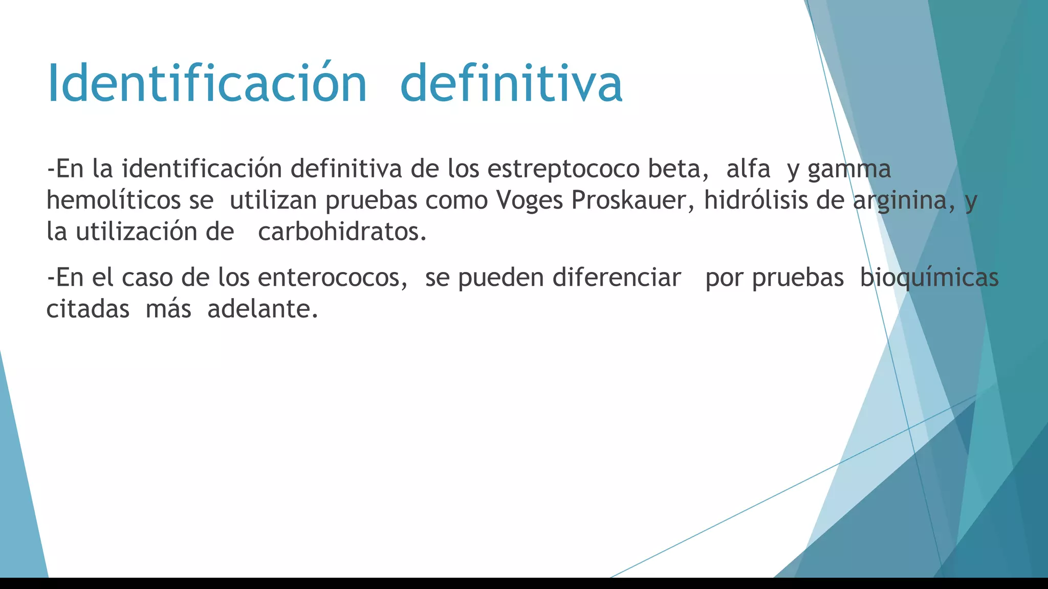 Identificación definitiva
-En la identificación definitiva de los estreptococo beta, alfa y gamma
hemolíticos se utilizan pruebas como Voges Proskauer, hidrólisis de arginina, y
la utilización de carbohidratos.
-En el caso de los enterococos, se pueden diferenciar por pruebas bioquímicas
citadas más adelante.
 