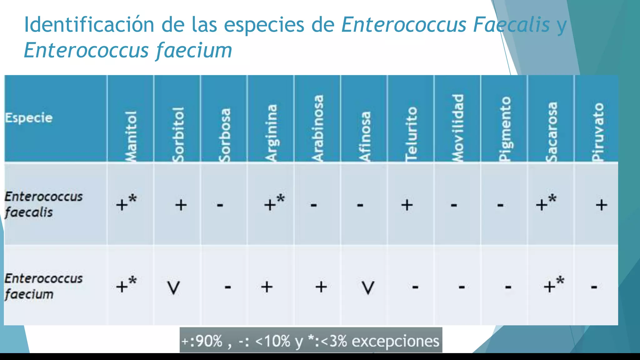 Identificación de las especies de Enterococcus Faecalis y
Enterococcus faecium
 