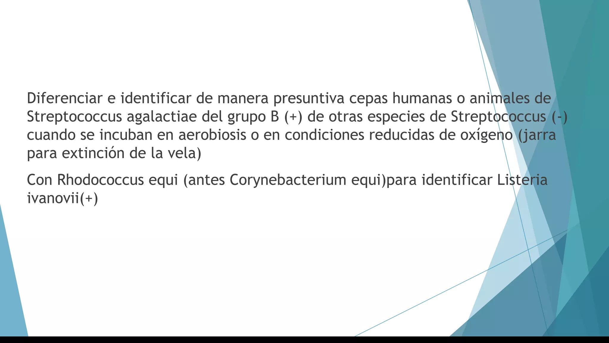 Diferenciar e identificar de manera presuntiva cepas humanas o animales de
Streptococcus agalactiae del grupo B (+) de otras especies de Streptococcus (-)
cuando se incuban en aerobiosis o en condiciones reducidas de oxígeno (jarra
para extinción de la vela)
Con Rhodococcus equi (antes Corynebacterium equi)para identificar Listeria
ivanovii(+)
 