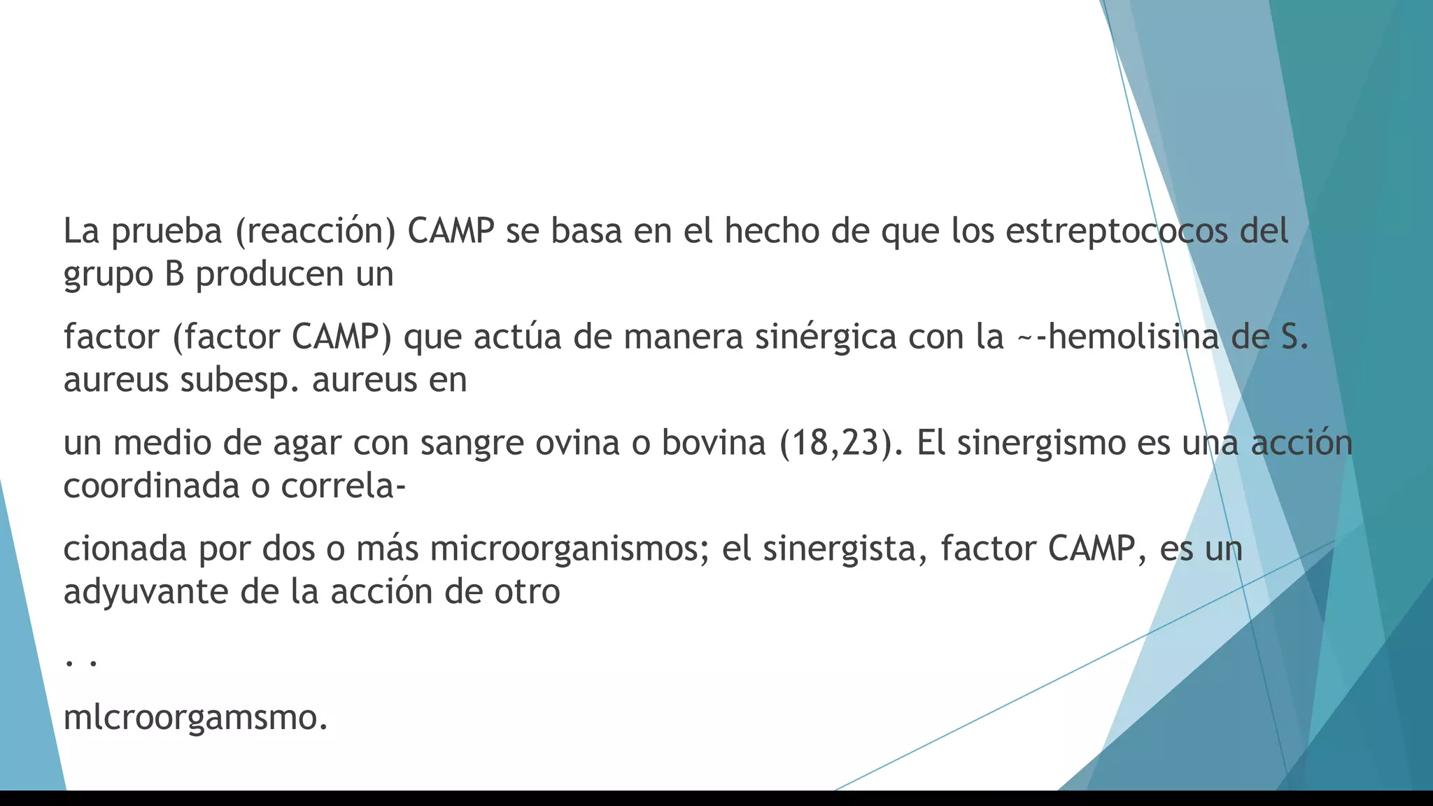 La prueba (reacción) CAMP se basa en el hecho de que los estreptococos del
grupo B producen un
factor (factor CAMP) que actúa de manera sinérgica con la ~-hemolisina de S.
aureus subesp. aureus en
un medio de agar con sangre ovina o bovina (18,23). El sinergismo es una acción
coordinada o correla-
cionada por dos o más microorganismos; el sinergista, factor CAMP, es un
adyuvante de la acción de otro
. .
mlcroorgamsmo.
 