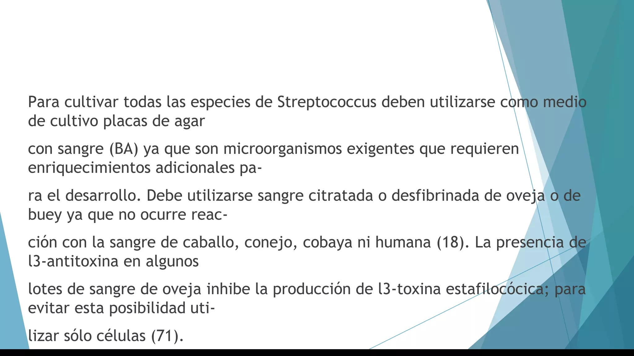 Para cultivar todas las especies de Streptococcus deben utilizarse como medio
de cultivo placas de agar
con sangre (BA) ya que son microorganismos exigentes que requieren
enriquecimientos adicionales pa-
ra el desarrollo. Debe utilizarse sangre citratada o desfibrinada de oveja o de
buey ya que no ocurre reac-
ción con la sangre de caballo, conejo, cobaya ni humana (18). La presencia de
l3-antitoxina en algunos
lotes de sangre de oveja inhibe la producción de l3-toxina estafilocócica; para
evitar esta posibilidad uti-
lizar sólo células (71).
 