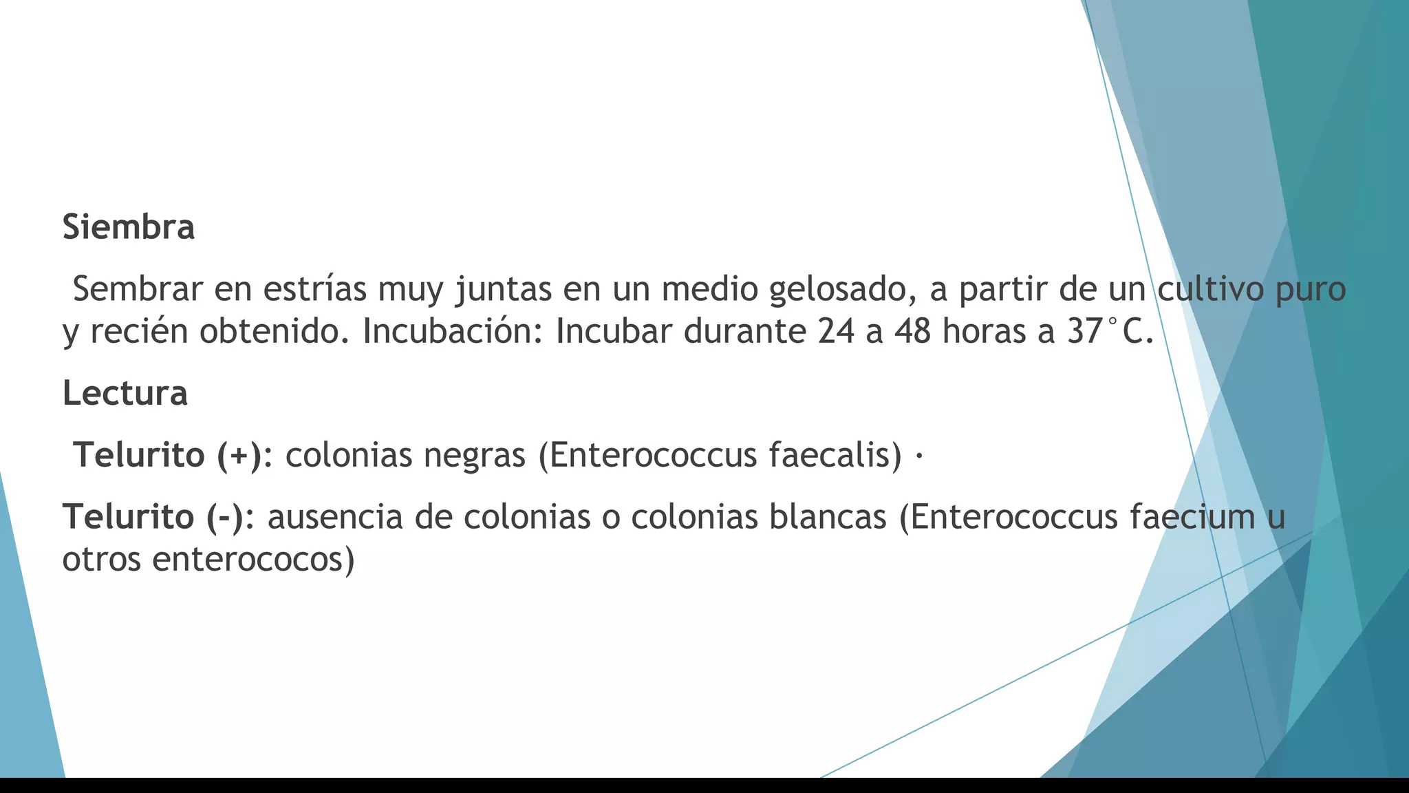 Siembra
Sembrar en estrías muy juntas en un medio gelosado, a partir de un cultivo puro
y recién obtenido. Incubación: Incubar durante 24 a 48 horas a 37°C.
Lectura
Telurito (+): colonias negras (Enterococcus faecalis) ·
Telurito (-): ausencia de colonias o colonias blancas (Enterococcus faecium u
otros enterococos)
 