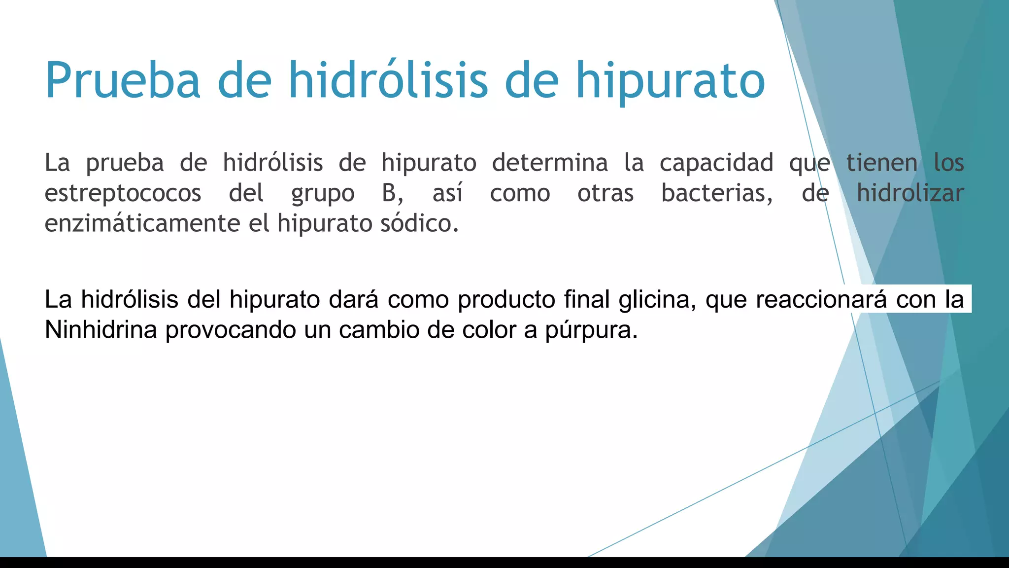 Prueba de hidrólisis de hipurato
La prueba de hidrólisis de hipurato determina la capacidad que tienen los
estreptococos del grupo B, así como otras bacterias, de hidrolizar
enzimáticamente el hipurato sódico.
La hidrólisis del hipurato dará como producto final glicina, que reaccionará con la
Ninhidrina provocando un cambio de color a púrpura.
 