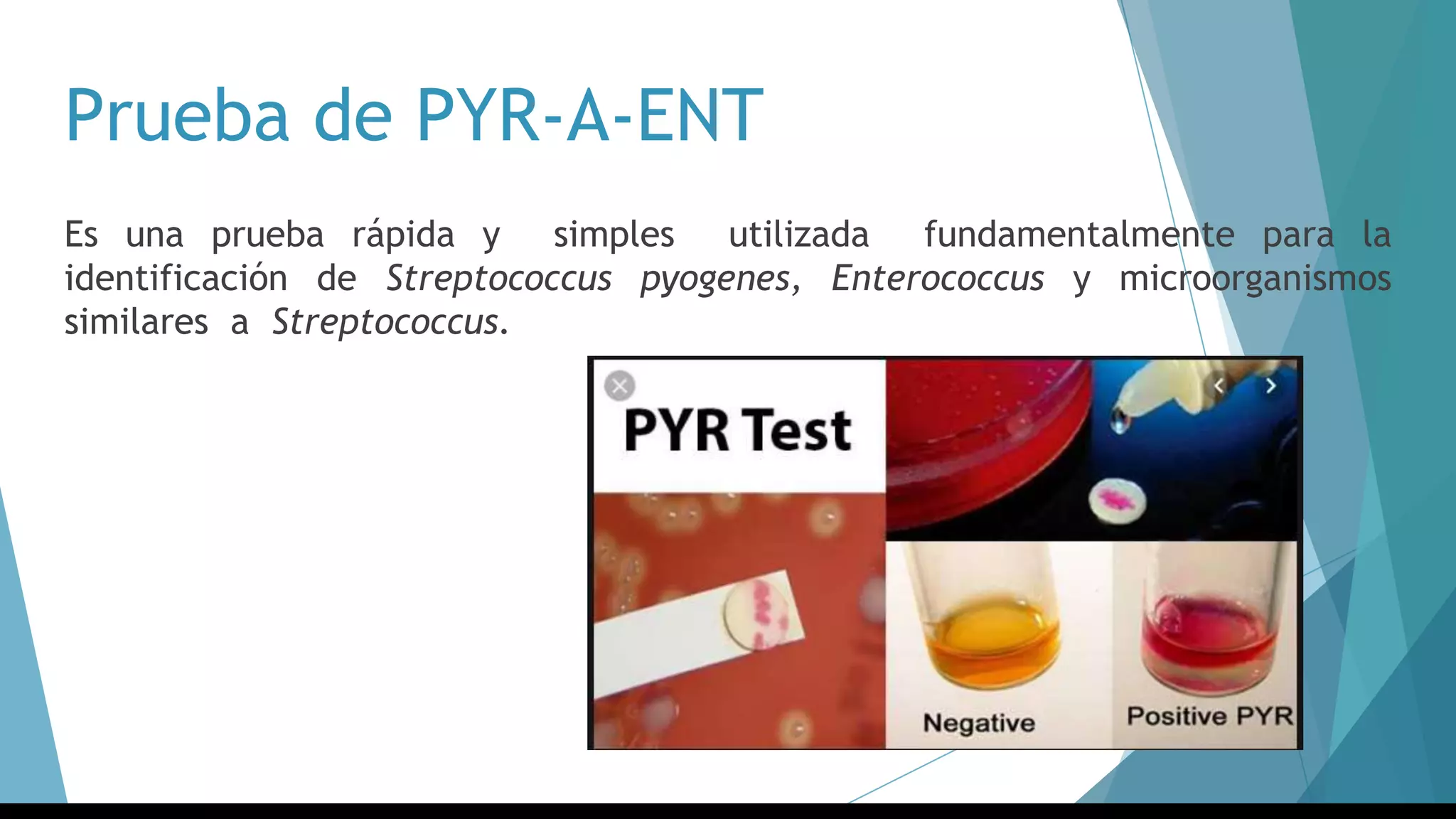 Prueba de PYR-A-ENT
Es una prueba rápida y simples utilizada fundamentalmente para la
identificación de Streptococcus pyogenes, Enterococcus y microorganismos
similares a Streptococcus.
 