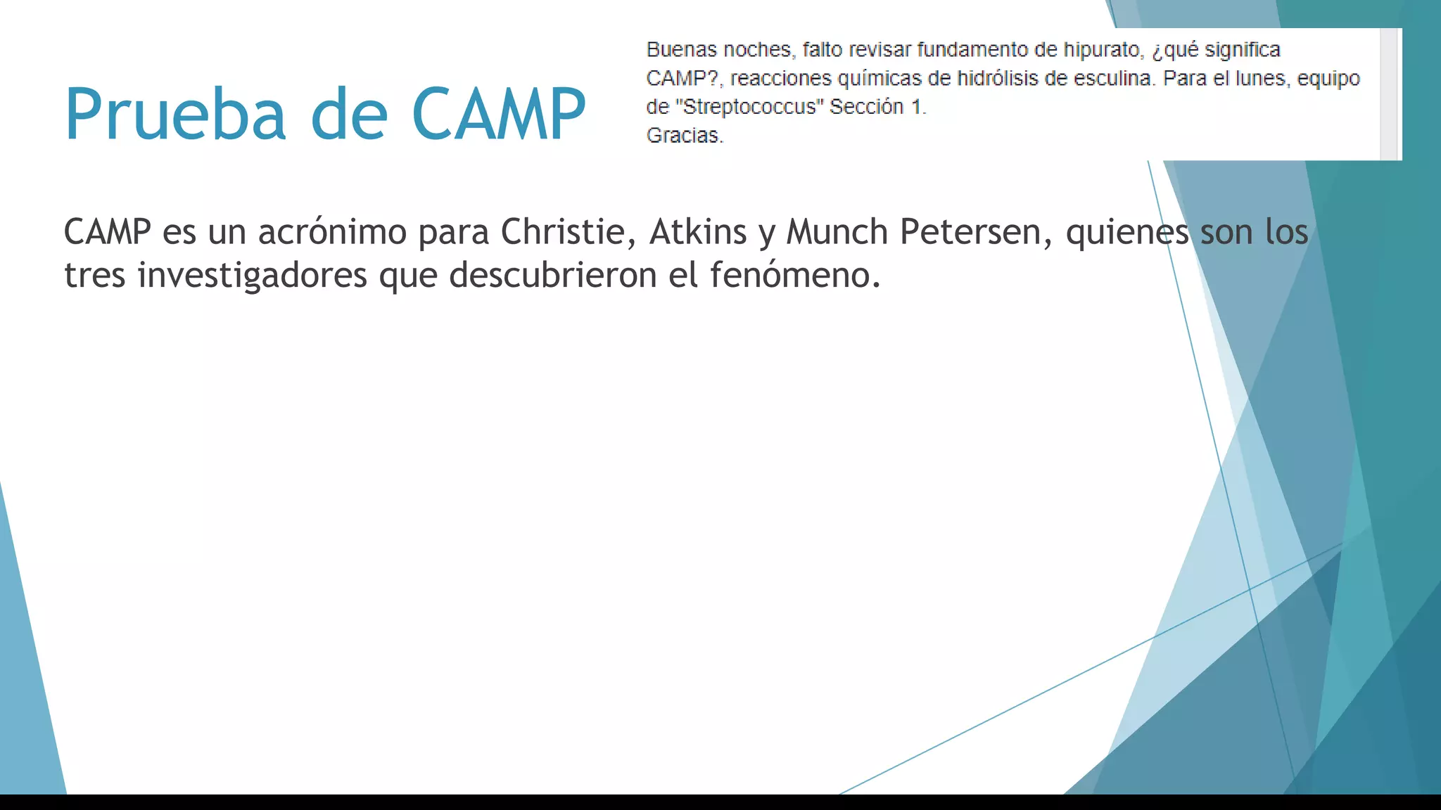 Prueba de CAMP
CAMP es un acrónimo para Christie, Atkins y Munch Petersen, quienes son los
tres investigadores que descubrieron el fenómeno.
 