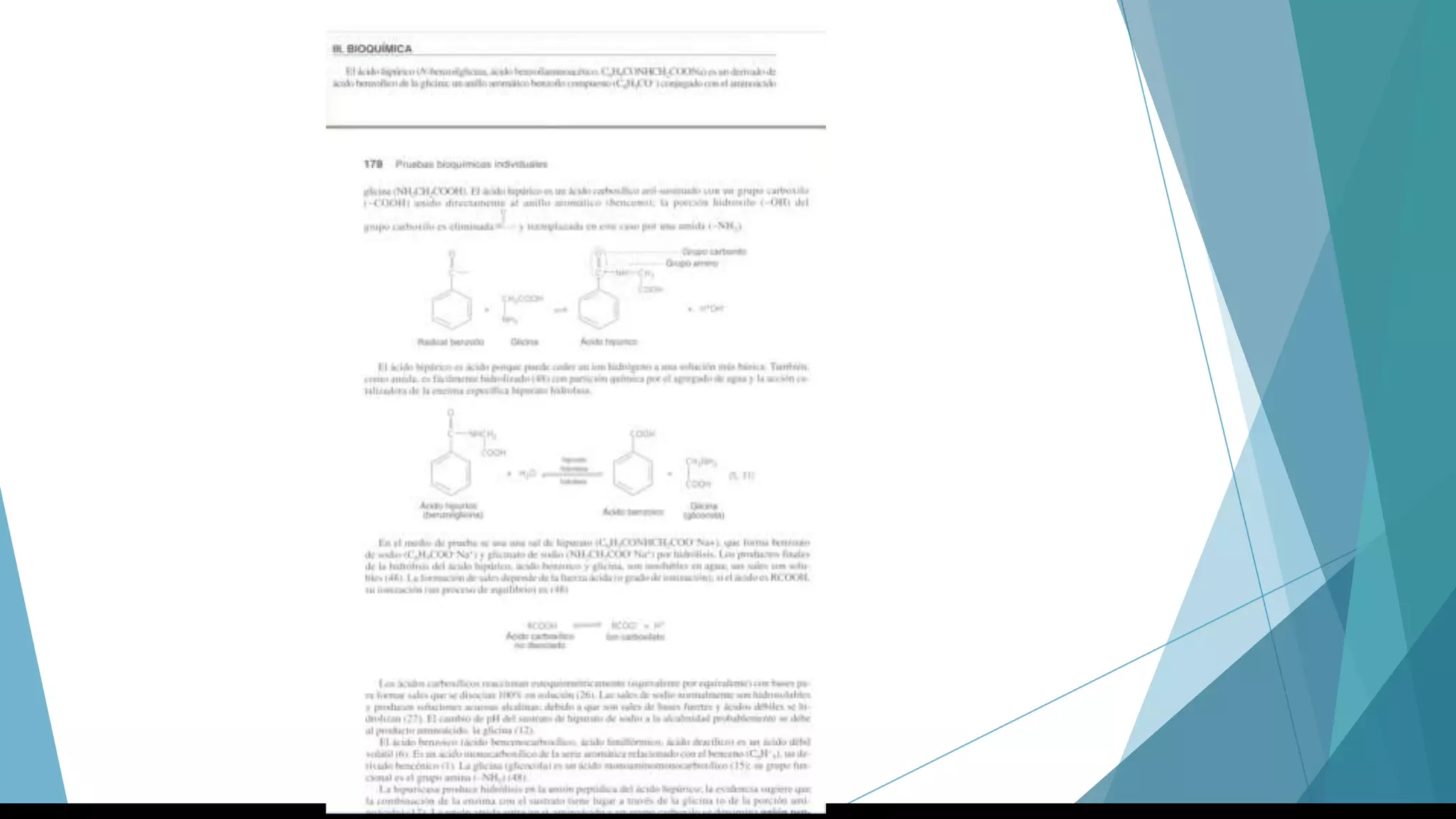 Streptococcus y Enterococcus