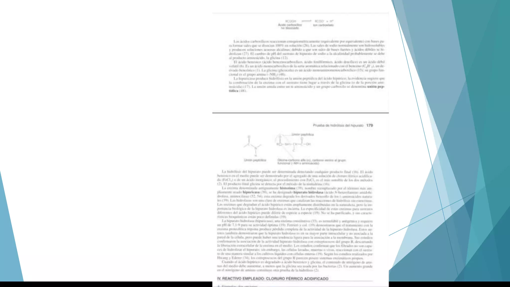 Streptococcus y Enterococcus