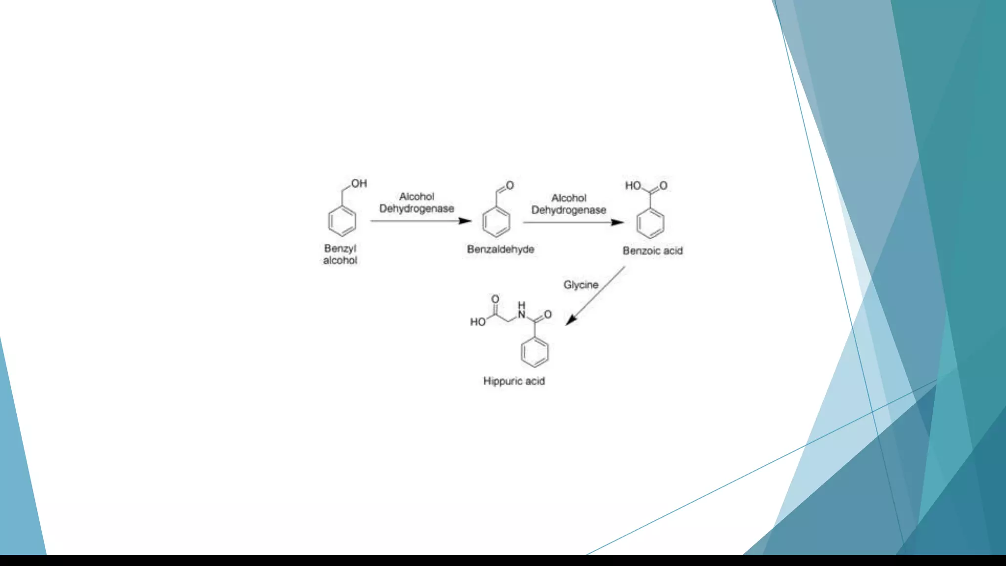 Streptococcus y Enterococcus
