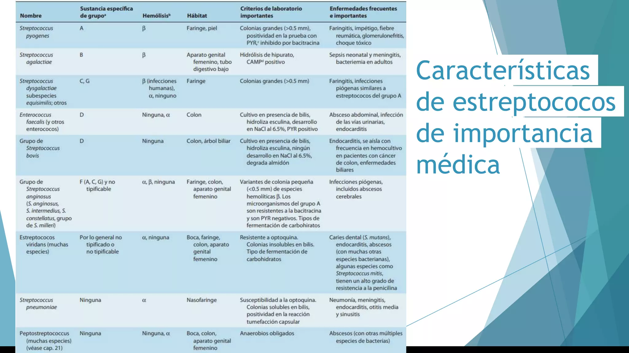 Características
de estreptococos
de importancia
médica
 