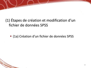 (1) Étapes de création et modification d’un
  fichier de données SPSS

   (1a) Création d’un fichier de données SPSS




                                                 19
 