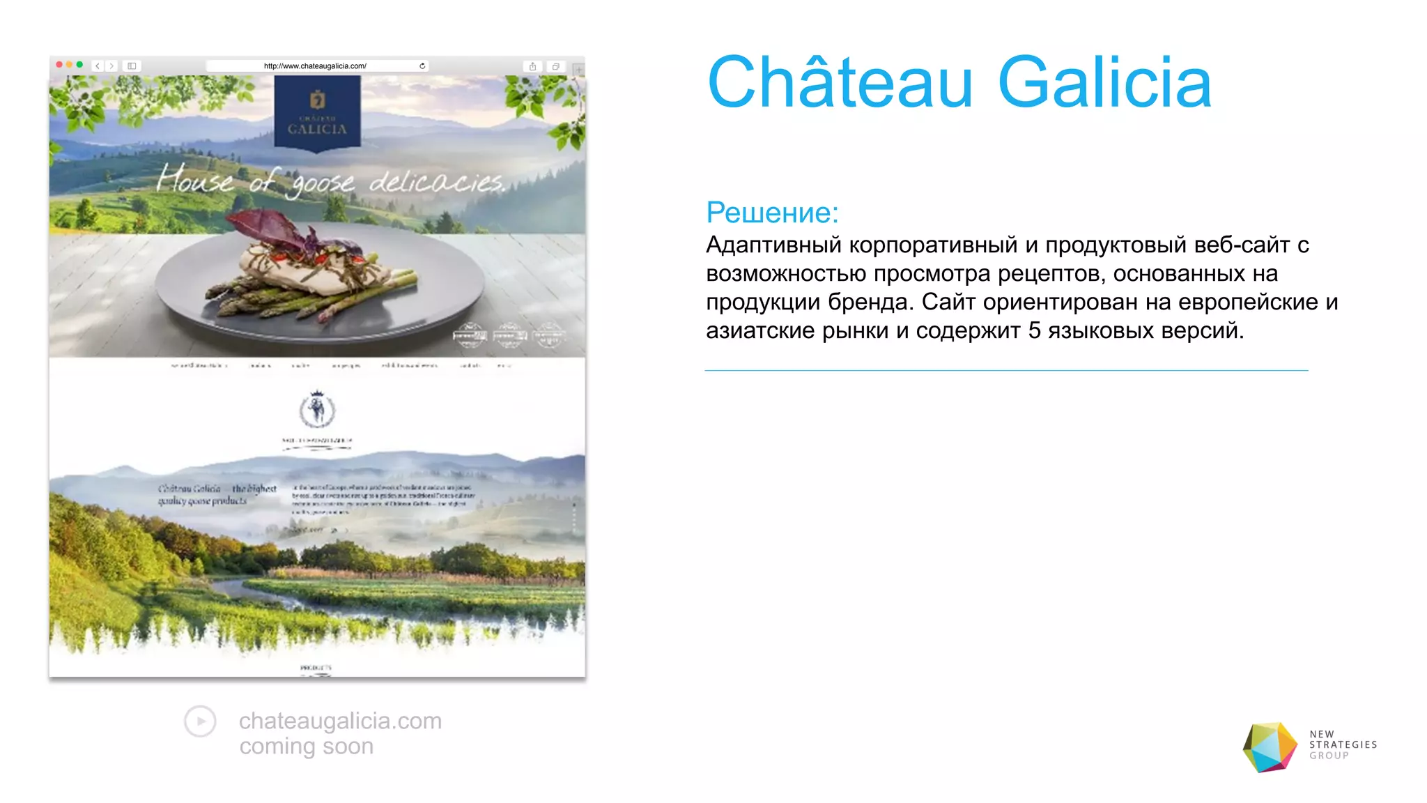 Château Galicia
Решение:
Адаптивный корпоративный и продуктовый веб-сайт с
возможностью просмотра рецептов, основанных на
продукции бренда. Сайт ориентирован на европейские и
азиатские рынки и содержит 5 языковых версий.
chateaugalicia.com
http://www.chateaugalicia.com/
coming soon
 