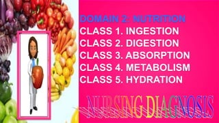DOMAIN 2: NUTRITION
CLASS 1. INGESTION
CLASS 2. DIGESTION
CLASS 3. ABSORPTION
CLASS 4. METABOLISM
CLASS 5. HYDRATION
 