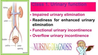 Class 1. Urinary function
 Impaired urinary elimination
 Readiness for enhanced urinary
elimination
 Functional urinary incontinence
 Overflow urinary incontinence
 