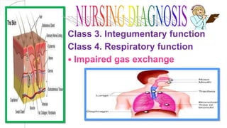 Class 3. Integumentary function
Class 4. Respiratory function
 Impaired gas exchange
 