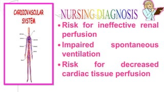  Risk for ineffective renal
perfusion
 Impaired spontaneous
ventilation
 Risk for decreased
cardiac tissue perfusion
 