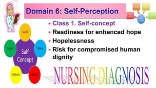  Class 1. Self-concept
 Readiness for enhanced hope
 Hopelessness
 Risk for compromised human
dignity
 