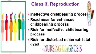 Class 3. Reproduction
 Ineffective childbearing process
 Readiness for enhanced
childbearing process
 Risk for ineffective childbearing
process
 Risk for disturbed maternal–fetal
dyad
 