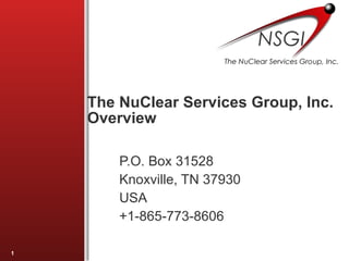 [object Object],[object Object],[object Object],[object Object],The NuClear Services Group, Inc.  Overview 