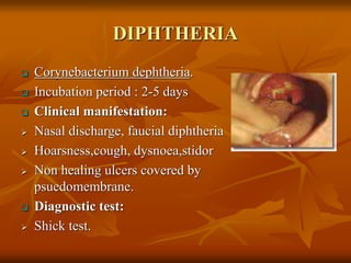 DIPHTHERIA
 Corynebacterium dephtheria.
 Incubation period : 2-5 days
 Clinical manifestation:
 Nasal discharge, faucial diphtheria
 Hoarsness,cough, dysnoea,stidor
 Non healing ulcers covered by
psuedomembrane.
 Diagnostic test:
 Shick test.
 