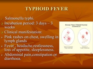 TYPHOID FEVER
 Salmonella typhi.
 Incubation period: 3 days – 3
weeks
 Clinical manifestation:
 Pink rashes on chest, swelling in
lymph glands
 Fever , headache,restlessness,
loss of appetite, sleeplessness.
 Abdominal pain,constipation or
diarrhoea.
 