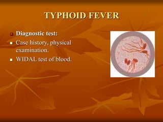 TYPHOID FEVER
 Diagnostic test:
 Case history, physical
examination.
 WIDAL test of blood.
 