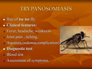 TRYPANOSOMIASIS
 Bite of tse tse fly.
 Clinical features:
 Fever, headache, weakness
 Joint pain , itching,
 Aneamia,oedema(complication)
 Diagnostic test:
 Blood test
 Assessment of symptoms.
 