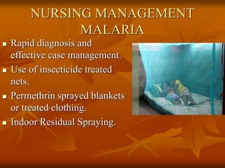 NURSING MANAGEMENT
MALARIA
 Rapid diagnosis and
effective case management.
 Use of insecticide treated
nets.
 Permethrin sprayed blankets
or treated clothing.
 Indoor Residual Spraying.
 