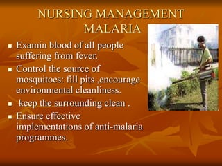 NURSING MANAGEMENT
MALARIA
 Examin blood of all people
suffering from fever.
 Control the source of
mosquitoes: fill pits ,encourage
environmental cleanliness.
 keep the surrounding clean .
 Ensure effective
implementations of anti-malaria
programmes.
 