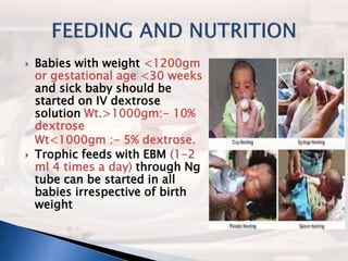 nursing management of low birth weight babies | PPTX