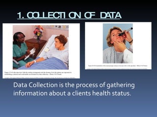 1.COLLECTION OF DATA Data Collection is the process of gathering information about a clients health status . 