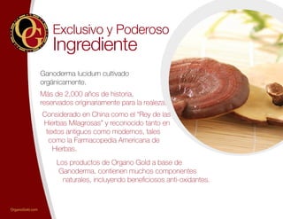 Exclusivo y Poderoso
Ingrediente
Ganoderma lucidum cultivado
orgánicamente.
Más de 2,000 años de historia,
reservados originariamente para la realeza.
Considerado en China como el “Rey de las
Hierbas Milagrosas” y reconocido tanto en
textos antiguos como modernos, tales
como la Farmacopedia Americana de
Hierbas.
Los productos de Organo Gold a base de
Ganoderma, contienen muchos componentes
naturales, incluyendo beneficiosos anti-oxidantes.
OrganoGold.com
 
