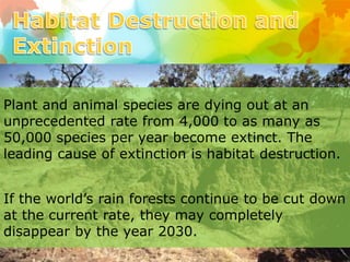 Plant and animal species are dying out at an
unprecedented rate from 4,000 to as many as
50,000 species per year become extinct. The
leading cause of extinction is habitat destruction.
If the world’s rain forests continue to be cut down
at the current rate, they may completely
disappear by the year 2030.
 