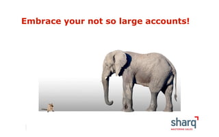 Embrace your not so large accounts!
 